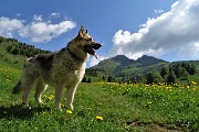 10 Dori in ispezione del nuovo territorio